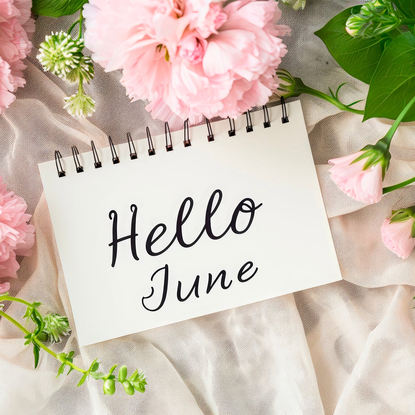 June Special Offer