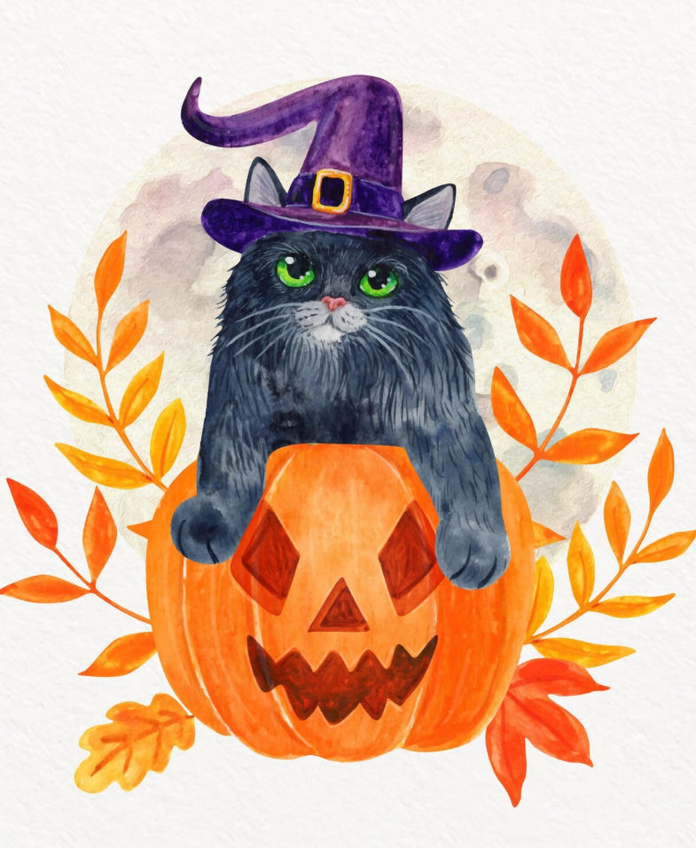 Halloween Special Offer